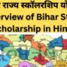 बिहार राज्य स्कॉलरशिप योजना, Overview of Bihar State Scholarship in Hindi