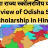 ओडिशा राज्य स्कॉलरशिप योजना, Overview of Odisha State Scholarship in Hindi